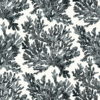 MARINE CORAL T10123